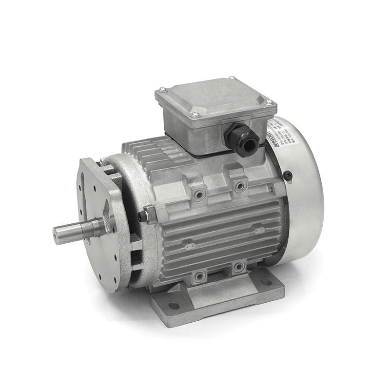 250/300 W 50/60 Hz Einphasen-Induktionsmotor für Pumpe